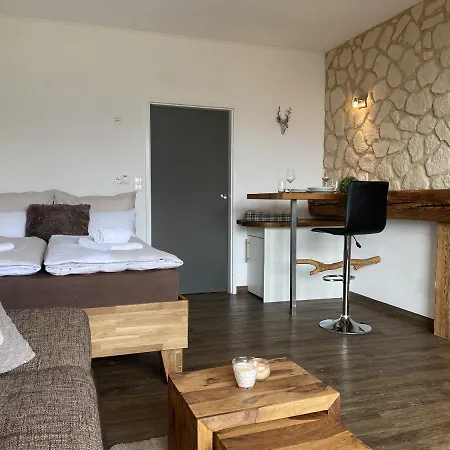 Alpine By Aa Homes Apartment Schladming